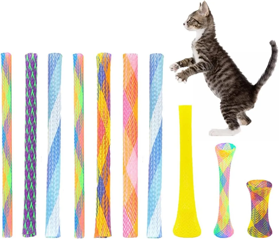 Katzen-Frühlingsspielzeug bunte Kunststoff-Spiralen interaktiv