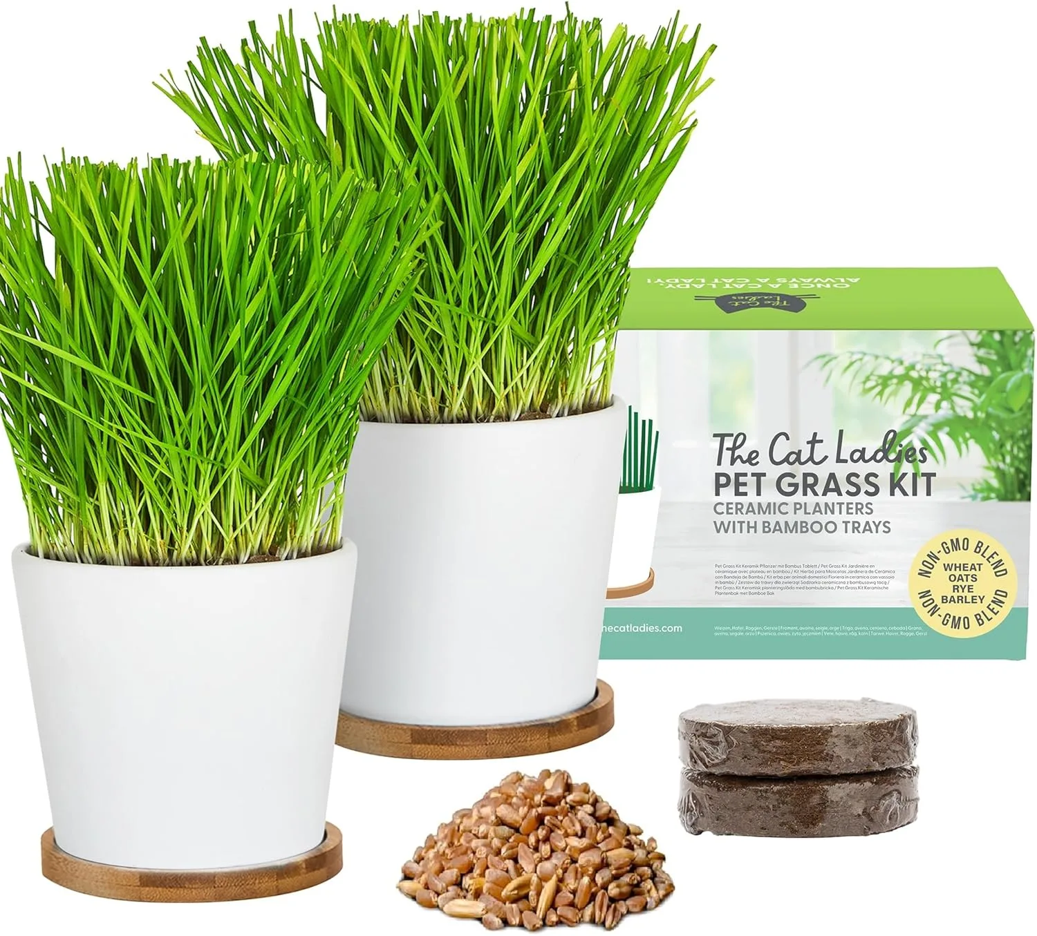 Ladies Katzengras Anzucht-Set mit Keramik-Pflanzgefäßen