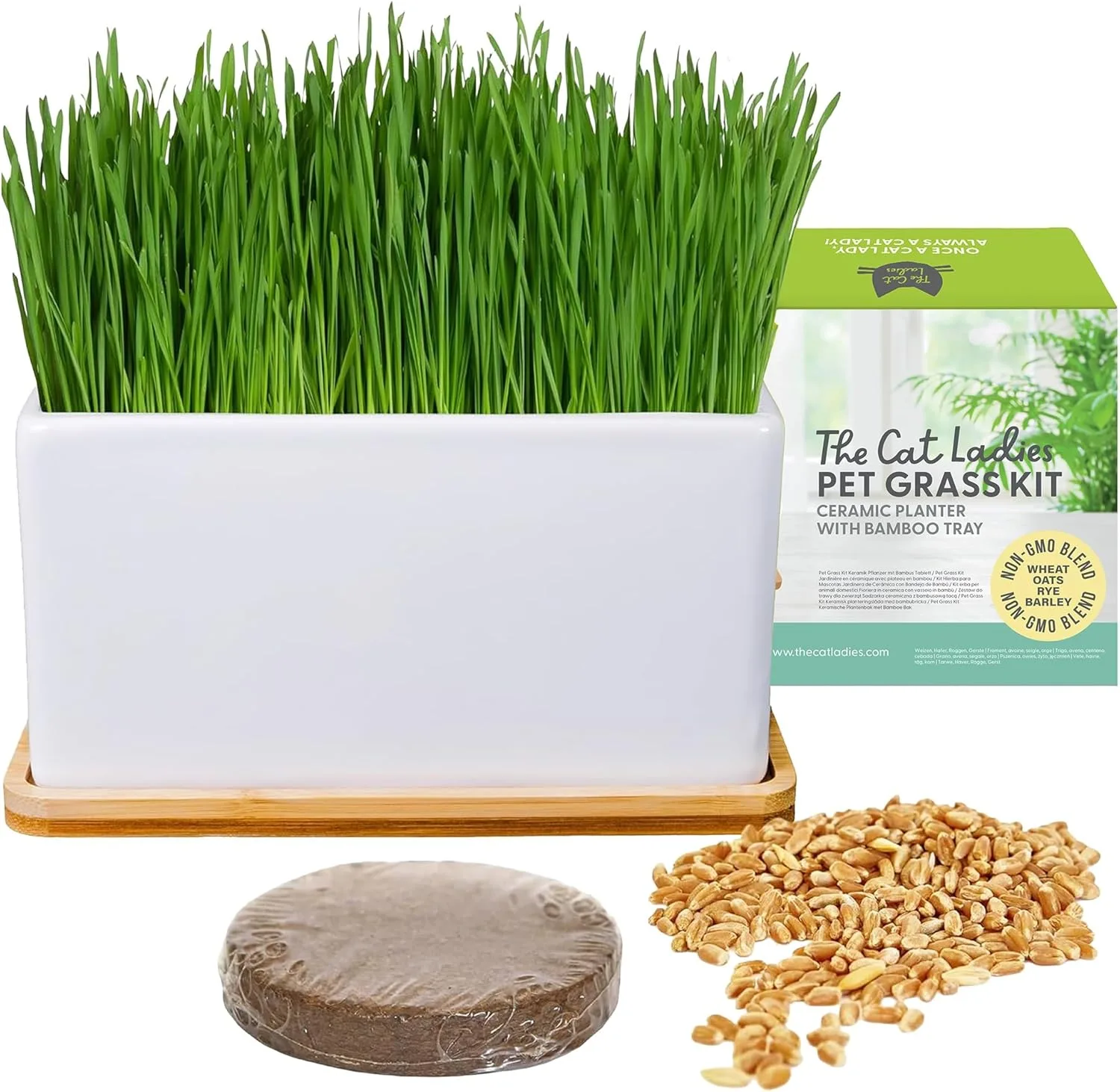 Ladies Bio-Katzengras Anzuchtset mit Keramikpflanzgefäß