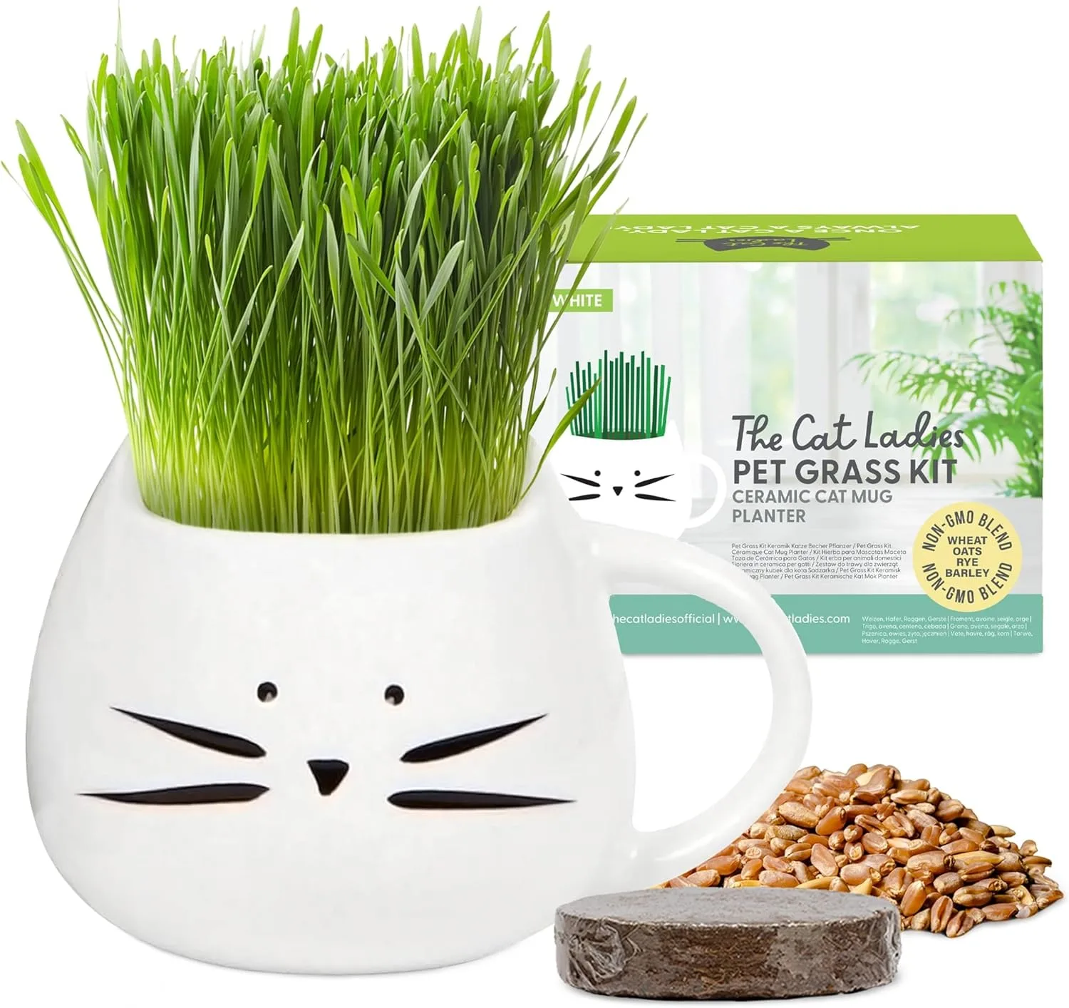 Cat Ladies Bio-Katzengras Set mit Katzentopf